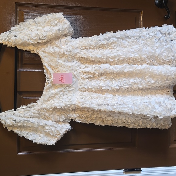 Le Lis Dresses & Skirts - Le Lis-Cream baby doll short puff sleeved net dress with fabric pieces Sz M NWT.